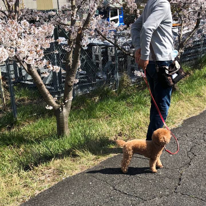 C36349c7 2423 426e 9358 934116e52606 1586072498023