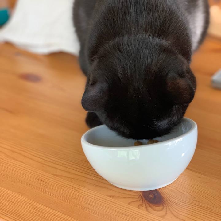 C3635e98 3133 450d a694 c05592aa0d89 1558914191266