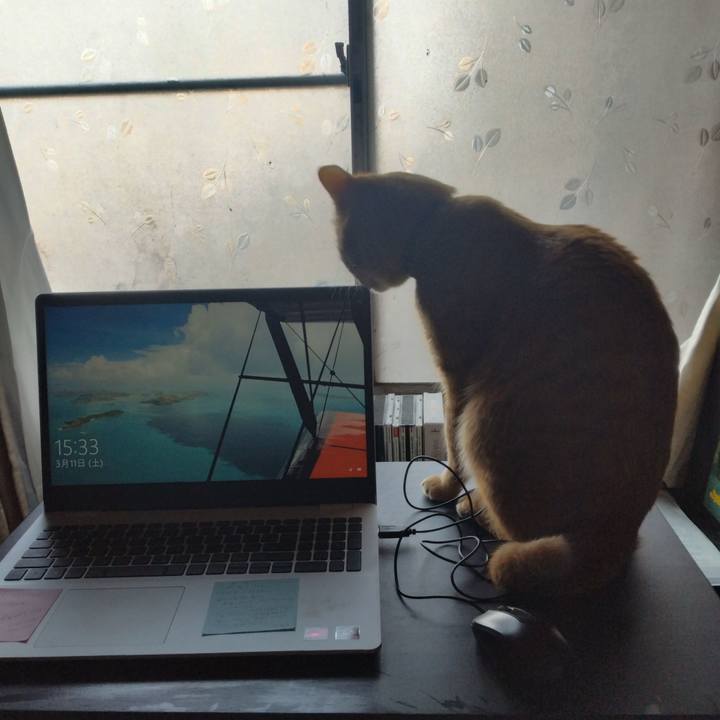 C36365e4 78a4 41e3 84f7 3ae7d8c29af0 1678516871443