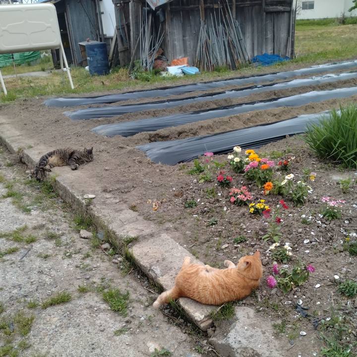 C3636dee 219a 48bd 91ce 0619cbfd66bf 1684403579570