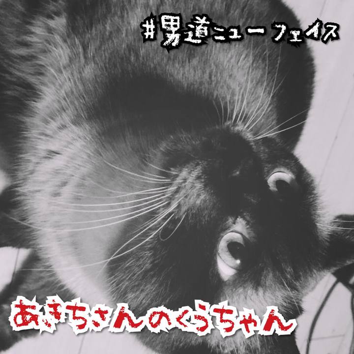 C36391d3 3f45 4c21 89a2 8462308f4feb 1567077757657