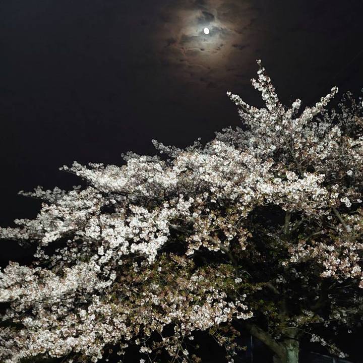 C3639fde 5f26 4bef 99ba ae0801a70c09 1586697483235