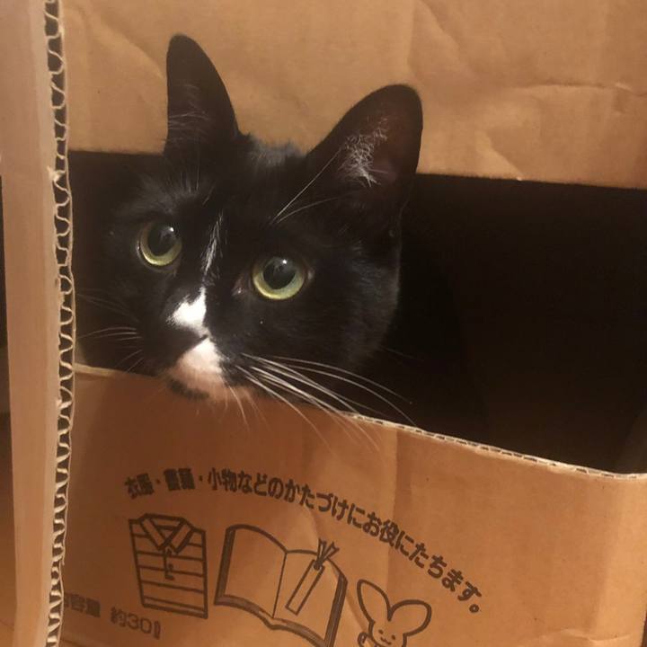 C363b2f3 3752 4453 bb31 6a3523a37d9a 1558566189943