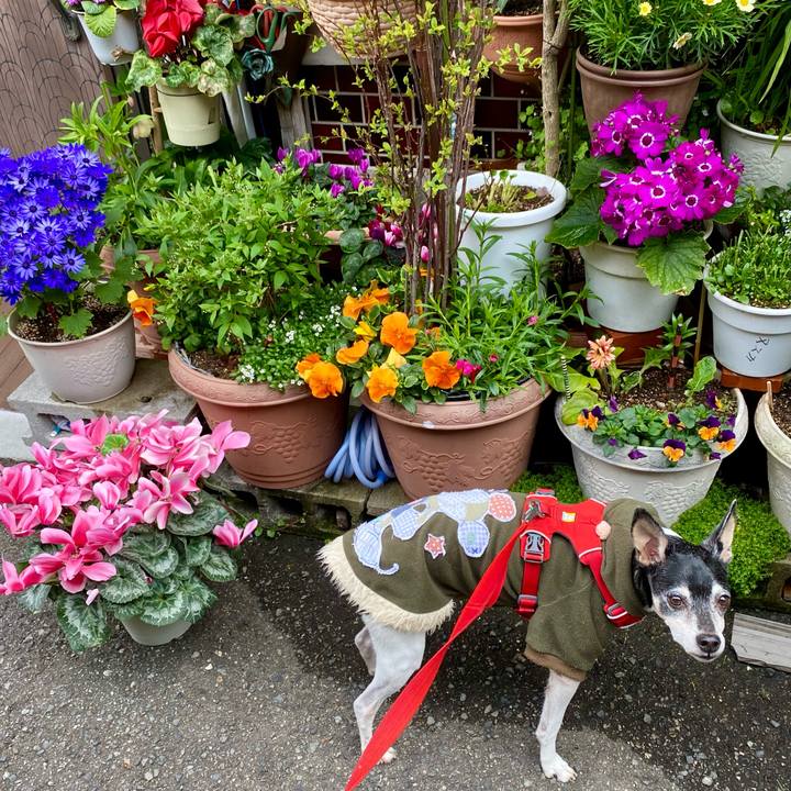 C363c13b 66d4 4b1d aa07 e443b55ada0d 1616220630836