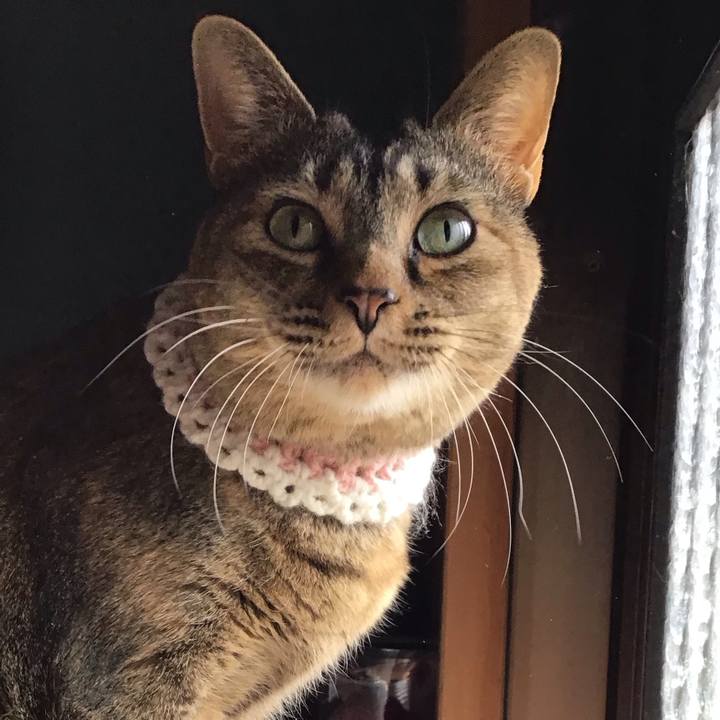 C363d8bd 7fa2 433c 9db3 5aa0f0f5809c 1740899276639