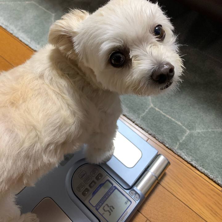 C363dc25 2f3f 4ed4 858e 9d11b1b84637 1634214638808