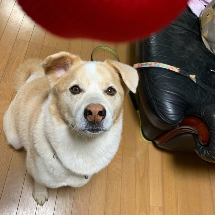 C3640a99 ea3f 4326 bdc0 e2cf636725d6 1603885682828