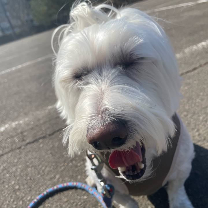 C3640c49 5a3c 44f3 abbe 164ff2f64780 1698980385053