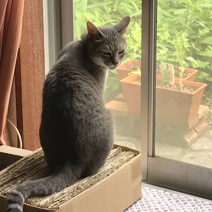 C364588d d2d7 48e4 841a 1d74285dd2b3 1560006807452