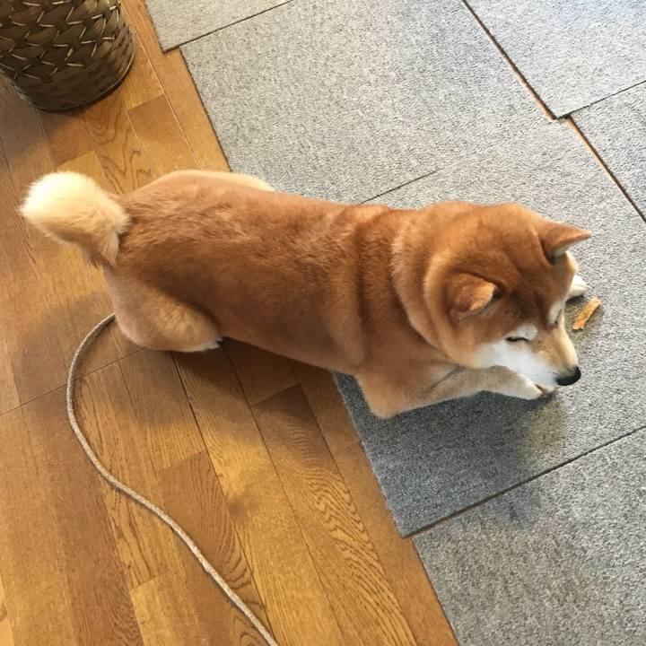 C3647feb d1c9 41b2 8c9b c73897dd9103 1518482713321