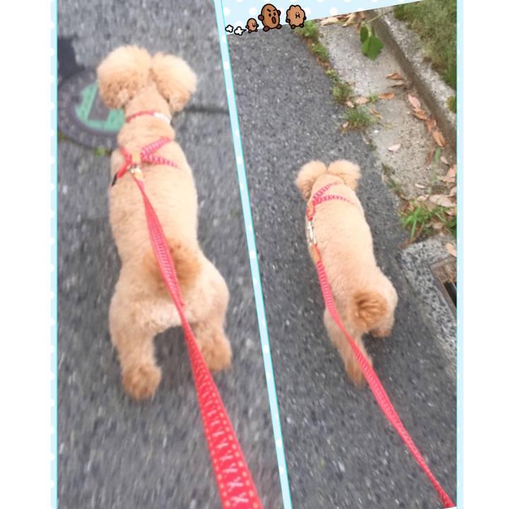 C36483a8 fb09 40f7 8516 914c89b79c62 1526292729814