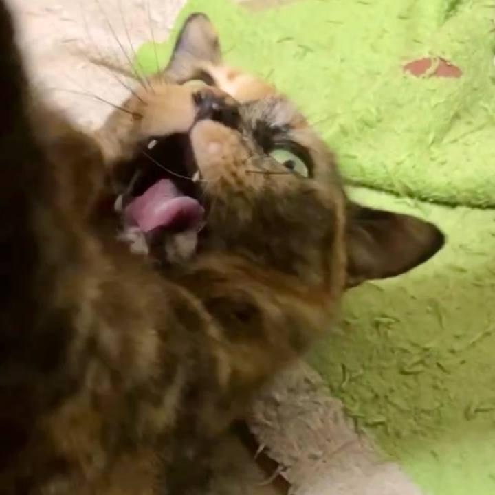 C364b9ff c3ca 49ff 8e70 3f9e31b24894 1736888393280