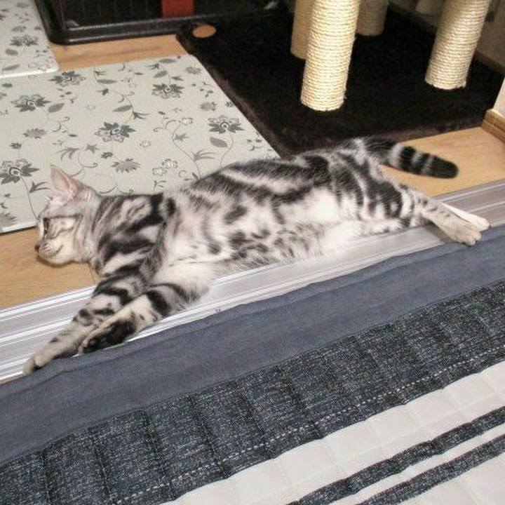 C364bb75 28e5 4c31 9c90 b8a8e0ac0e08 1537614145825