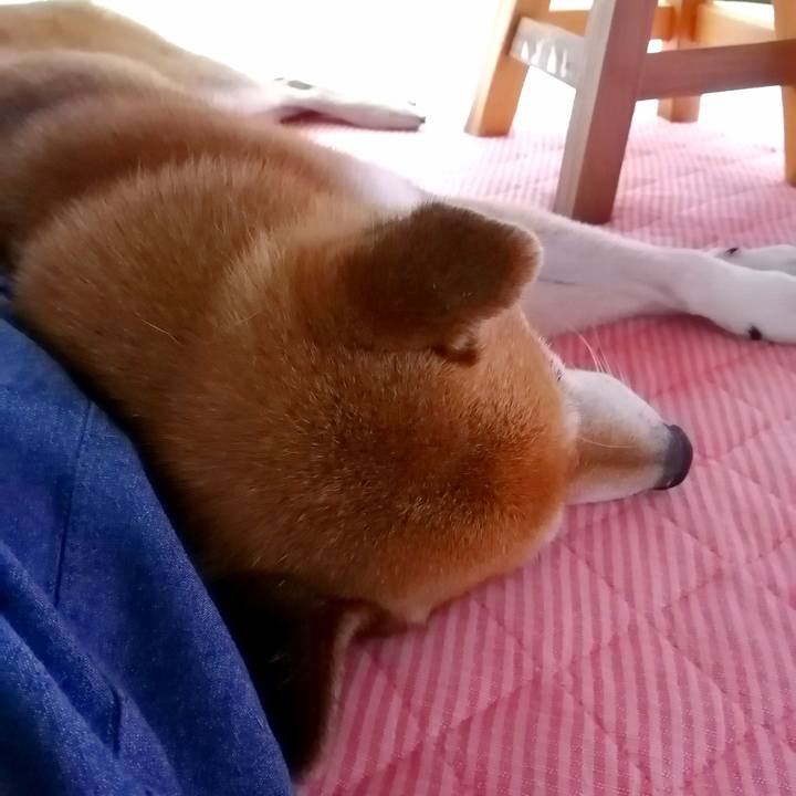 C364c645 ad79 4f1e 85e2 82f1f8d98cf3 1693651513329