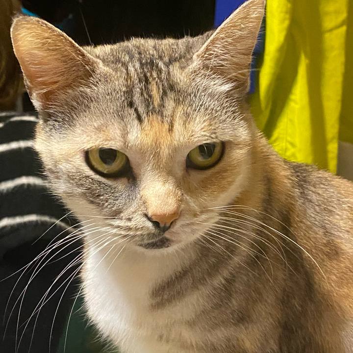 C364ccc2 8591 4b26 9ceb c06a897db960 1608311131722