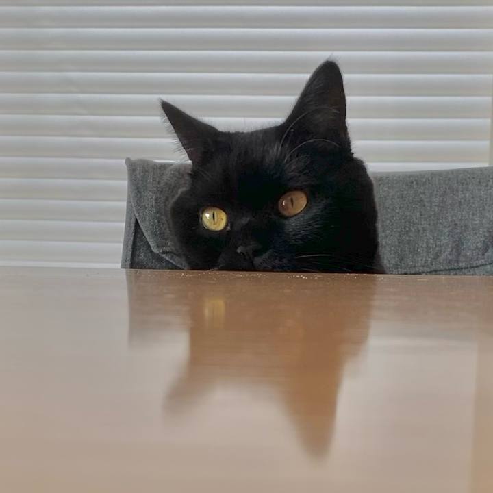 C364e890 91d7 4397 b319 7d40d8abf729 1733554303235