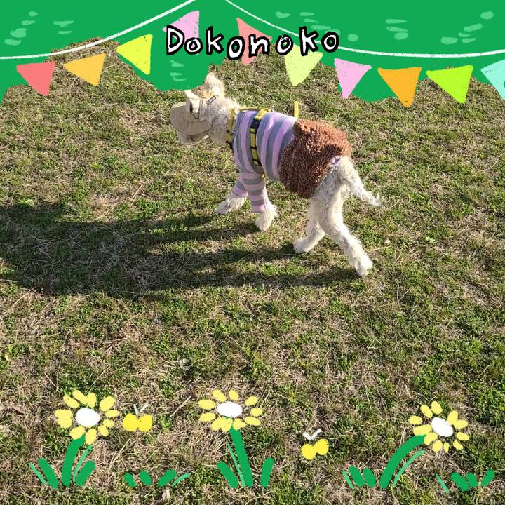 C364fab0 c5ad 4aad 9656 579b46c62275 1711069556136