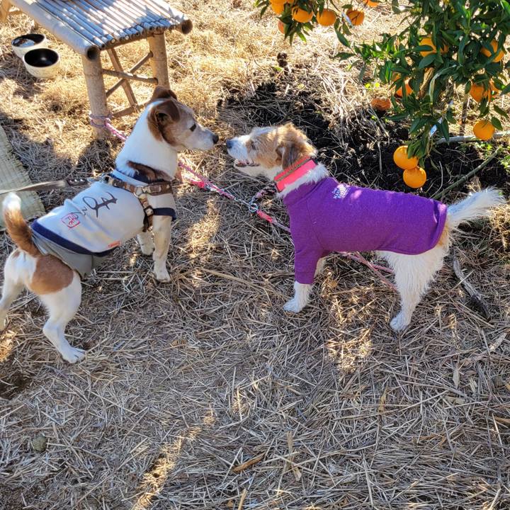 C36506a0 41b0 43da bc3d 8bbaaa77c69d 1702160867989