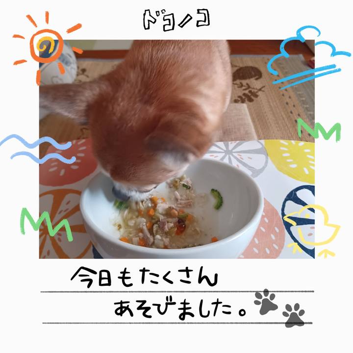 C3650b7f c003 4e35 8819 88d212258d1e 1755381698674