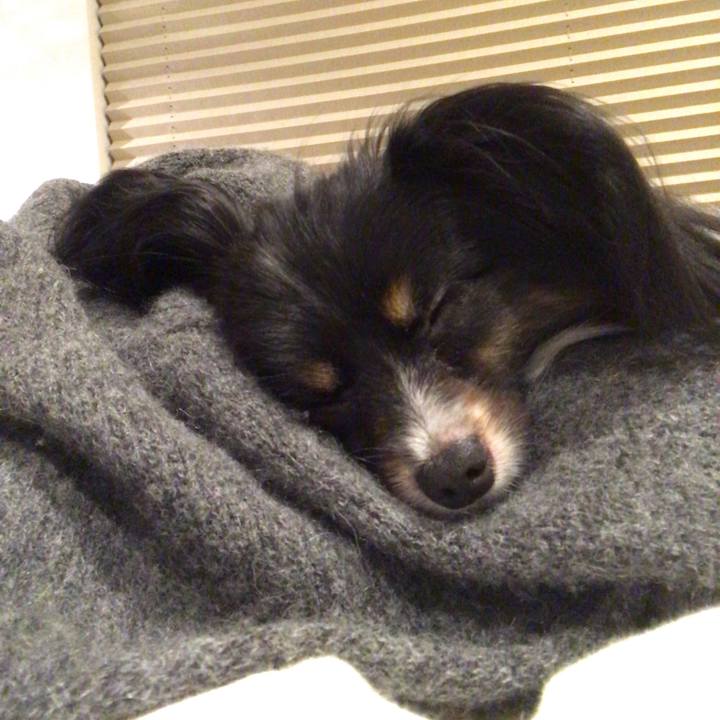 C365116c 1558 422b b6dc 4c5629da48ba 1525440025997