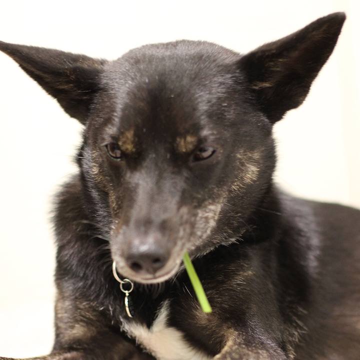 C3651303 c0a6 412a b249 bee3f97fe3ca 1539338322476