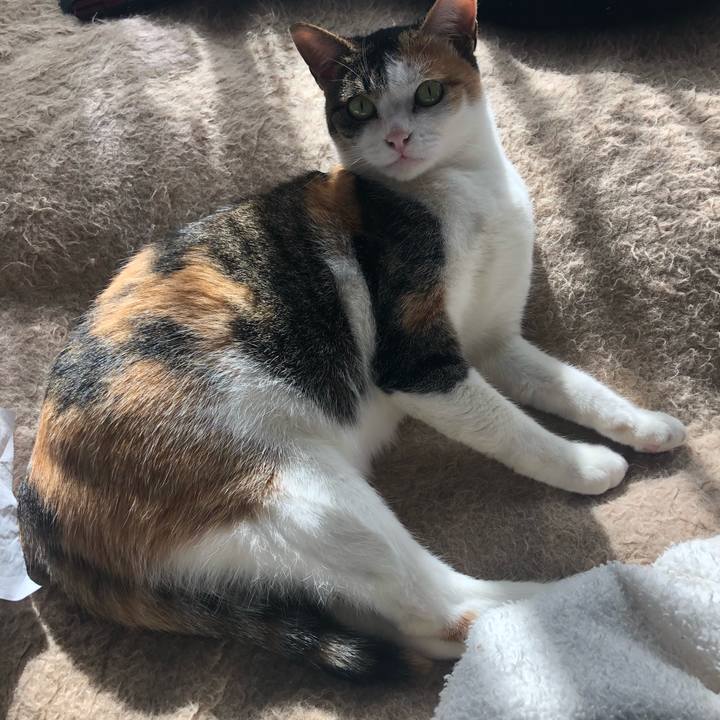 C36522eb 0e77 48c4 a124 214a49f01e20 1580643787963