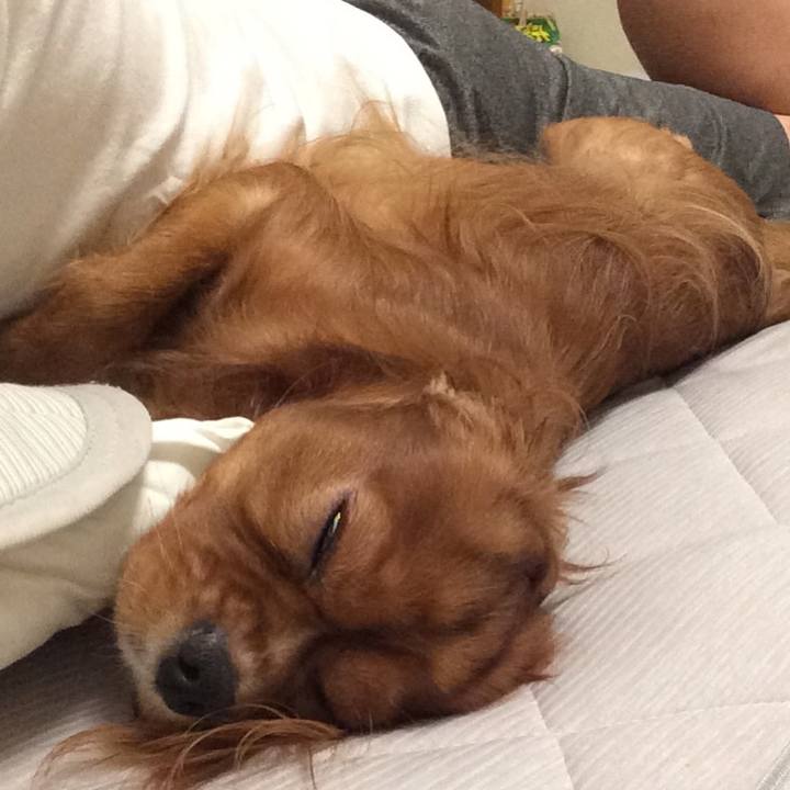 C3654cf5 3112 427f 9ac7 d1c8eeccd9be 1567775703359