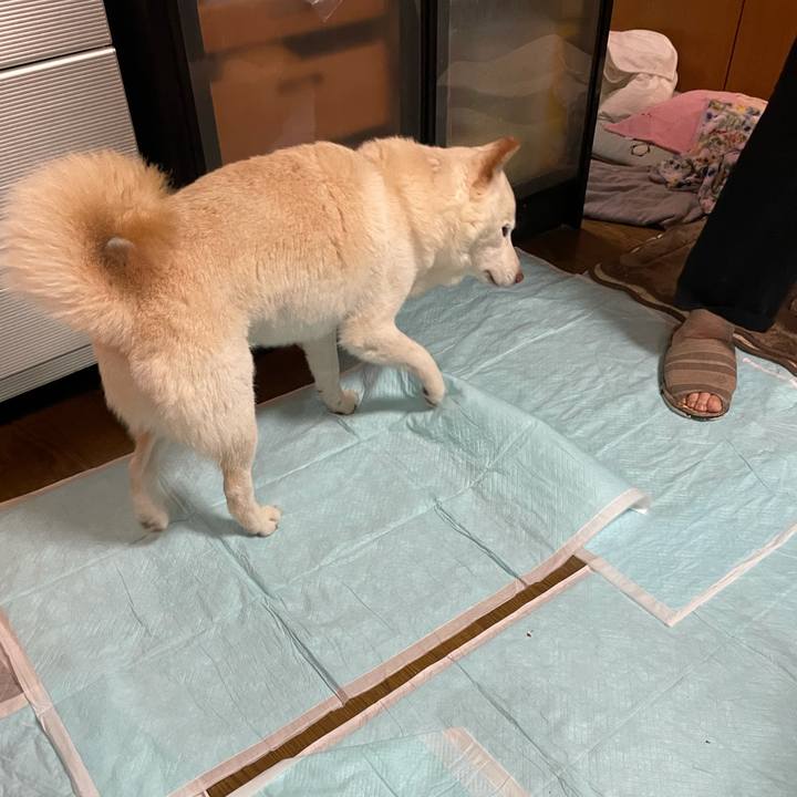 C365ab77 1d72 46a7 b21e b0de0cc0e278 1635426255727