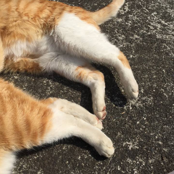 C365c632 8ada 4bc6 af91 f2764a05393e 1551517005657