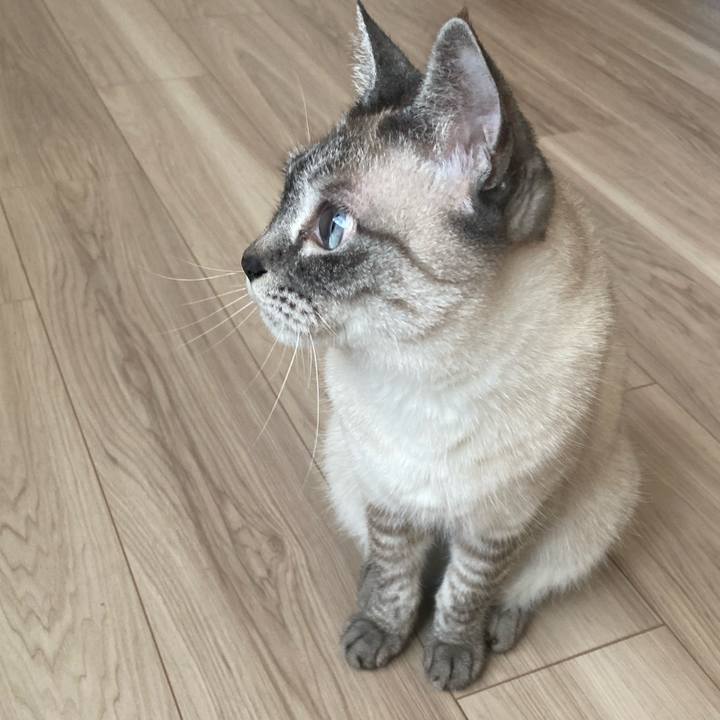 C365c7ee 3dd3 4f98 b597 43f6e45efcf4 1749426048397