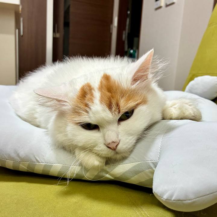 C365cbe1 ed23 42be 8d02 7a775e9c226b 1789357486046