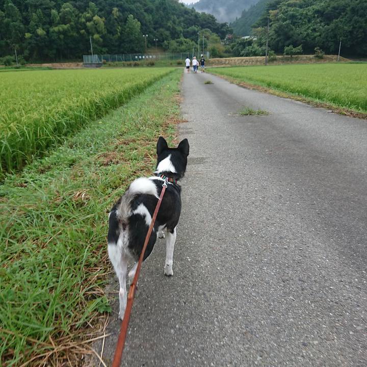 C365fbbc 24d9 41ef 817b c29c4e2894e2 1597275132989