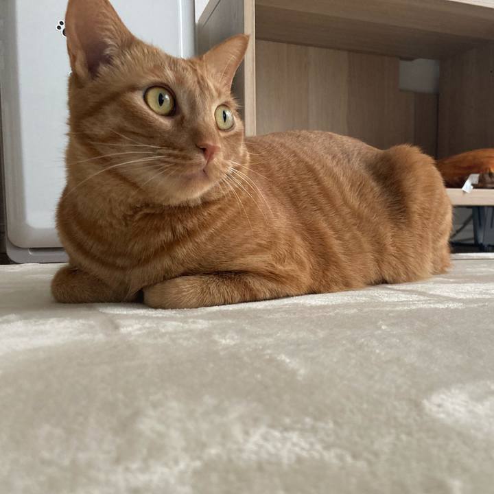 C36605f2 c090 4f64 bee4 fe45959cfe11 1616933943892