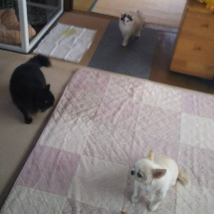 C3663515 bfda 4bd8 9921 b713c2a72179 1514524143659