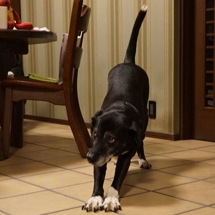 C3667c0f b3da 46f2 b15a 4add162686fd 1771326809086