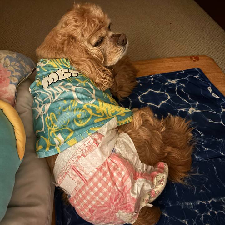 C36693fd 37df 4cff 9668 090db079ad8e 1776087933052