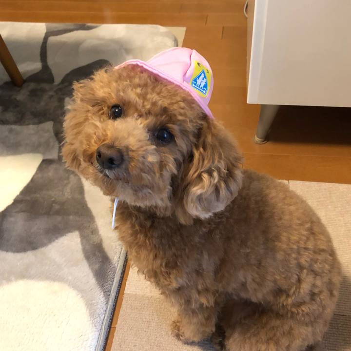 C366c90f 895d 4d02 bac2 0657fb5a1726 1587392841638