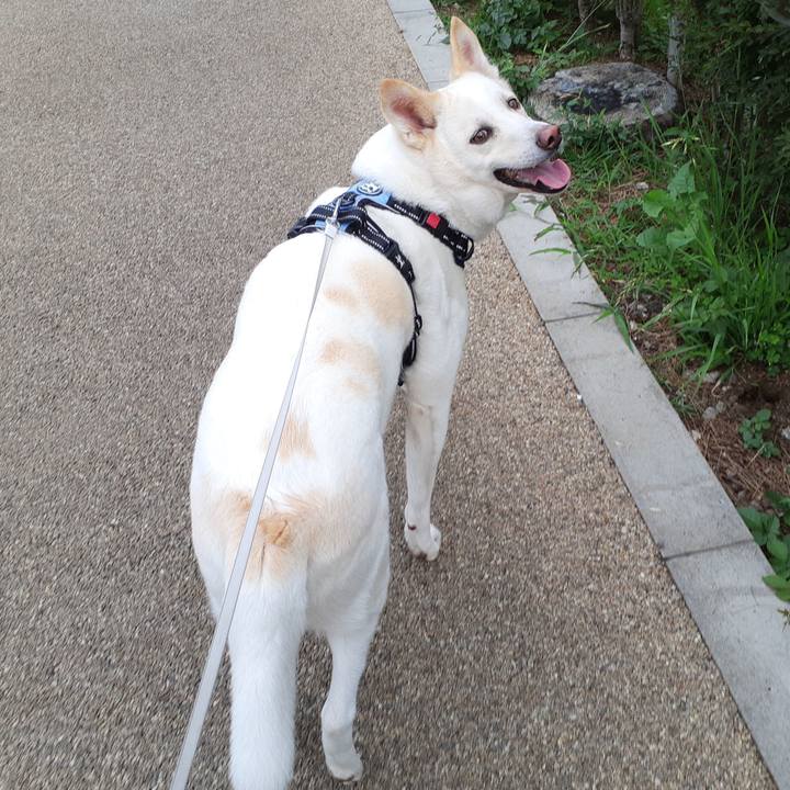 C366e846 acf2 499a bf4c 02bc008a7fae 1655512734742