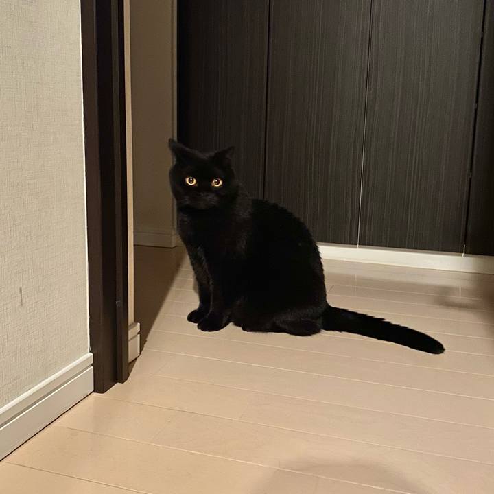 C366fa9f a8e0 4a55 8f32 1ace7dbf725d 1727012243225