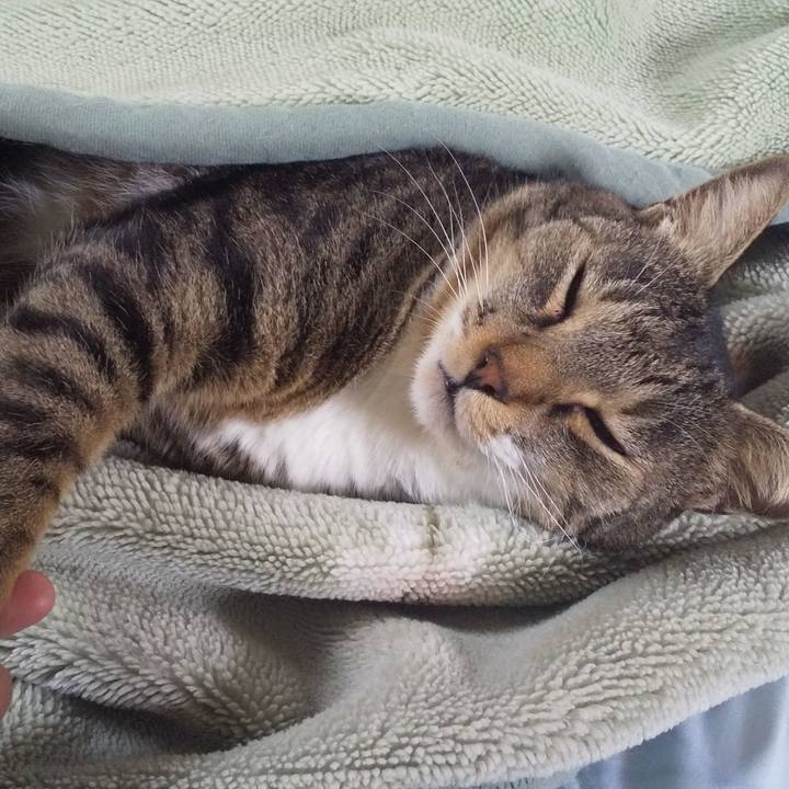 C366feb2 4daa 4bf6 bfe0 23ec3b1d2278 1663801520673