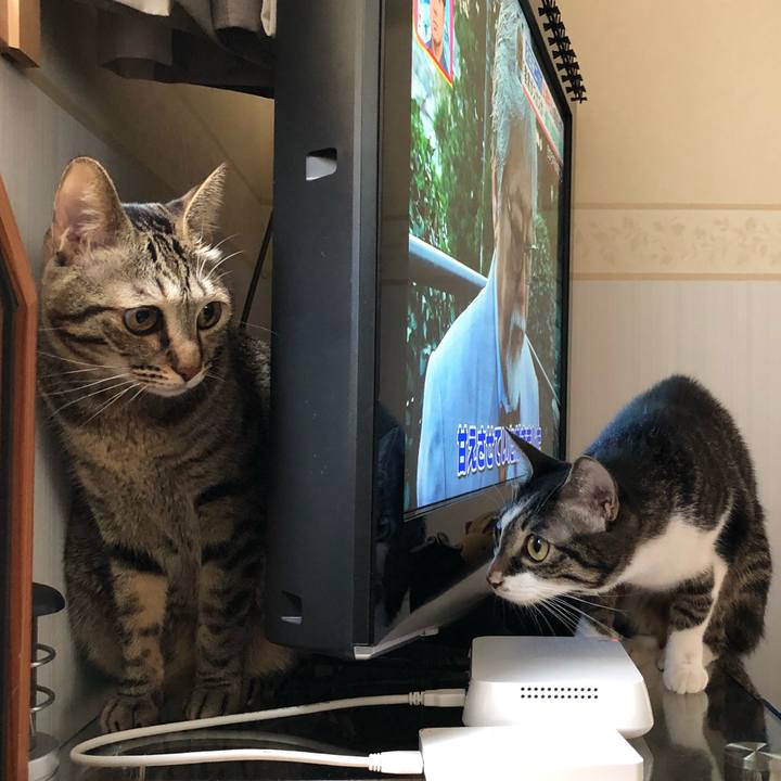 C3675723 b8d8 4311 9b62 7eb536568787 1541055366205