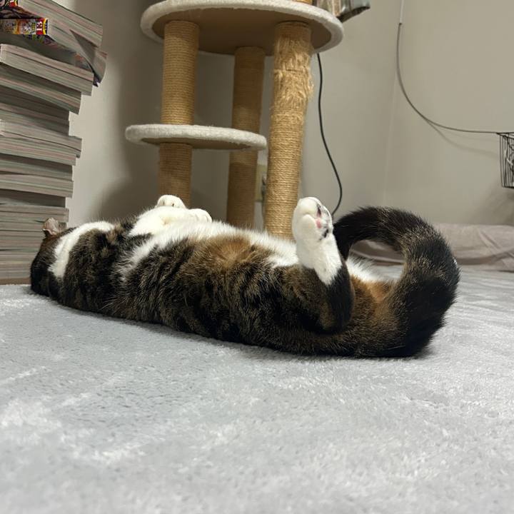 C367862c 1fcc 4440 bad3 aaea22f6399b 1773094423729