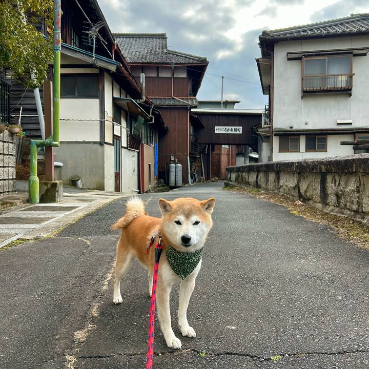 C367934c d735 4fe3 bdce ef3d2d9d48e7 1705049437686