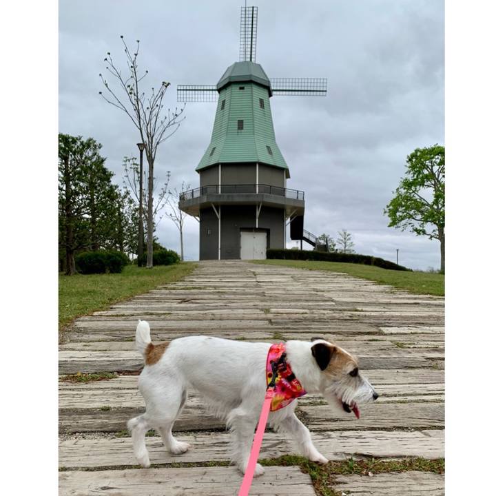 C367bf6d a6f5 48f8 be99 c7ee3b7d8c6a 1681008335277