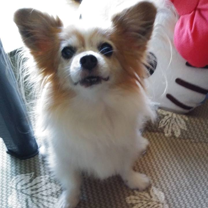 C367e1f9 92e2 4fff a833 9b6334e69685 1536128266212