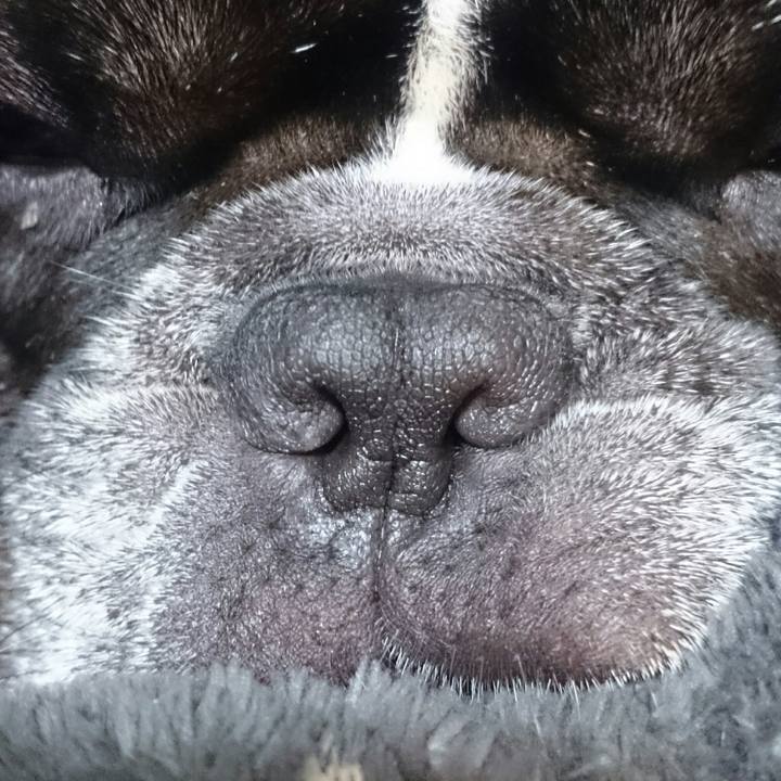 C367e86e a501 49e1 a7f2 c1b689481950 1524137611790