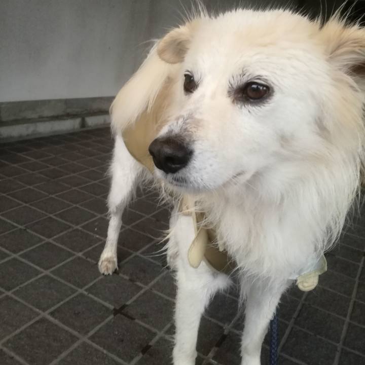 C367f4ab cf3a 4413 9e16 a21fad25ad2b 1510622306903