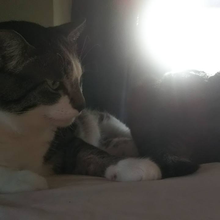 C368041b da05 4346 b3cb 3e78ad167294 1629966462495