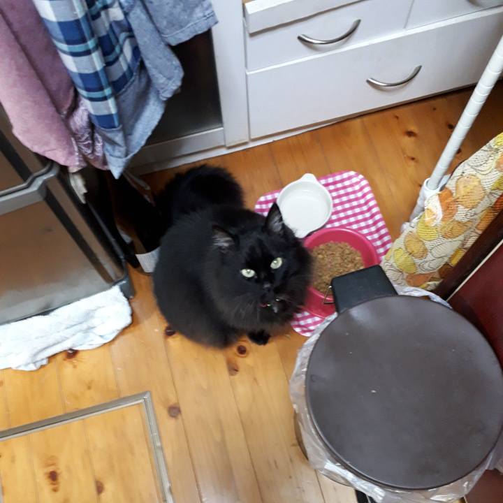 C3683fc7 a86a 452c 802e 3e030427677e 1522098541612