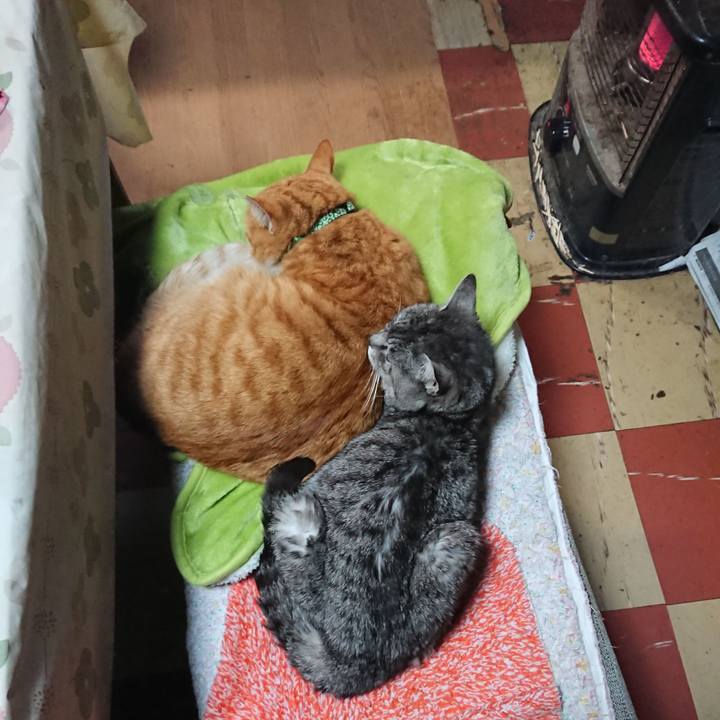 C3684c0a f428 4b62 9bf7 370267a4bf48 1582076110565